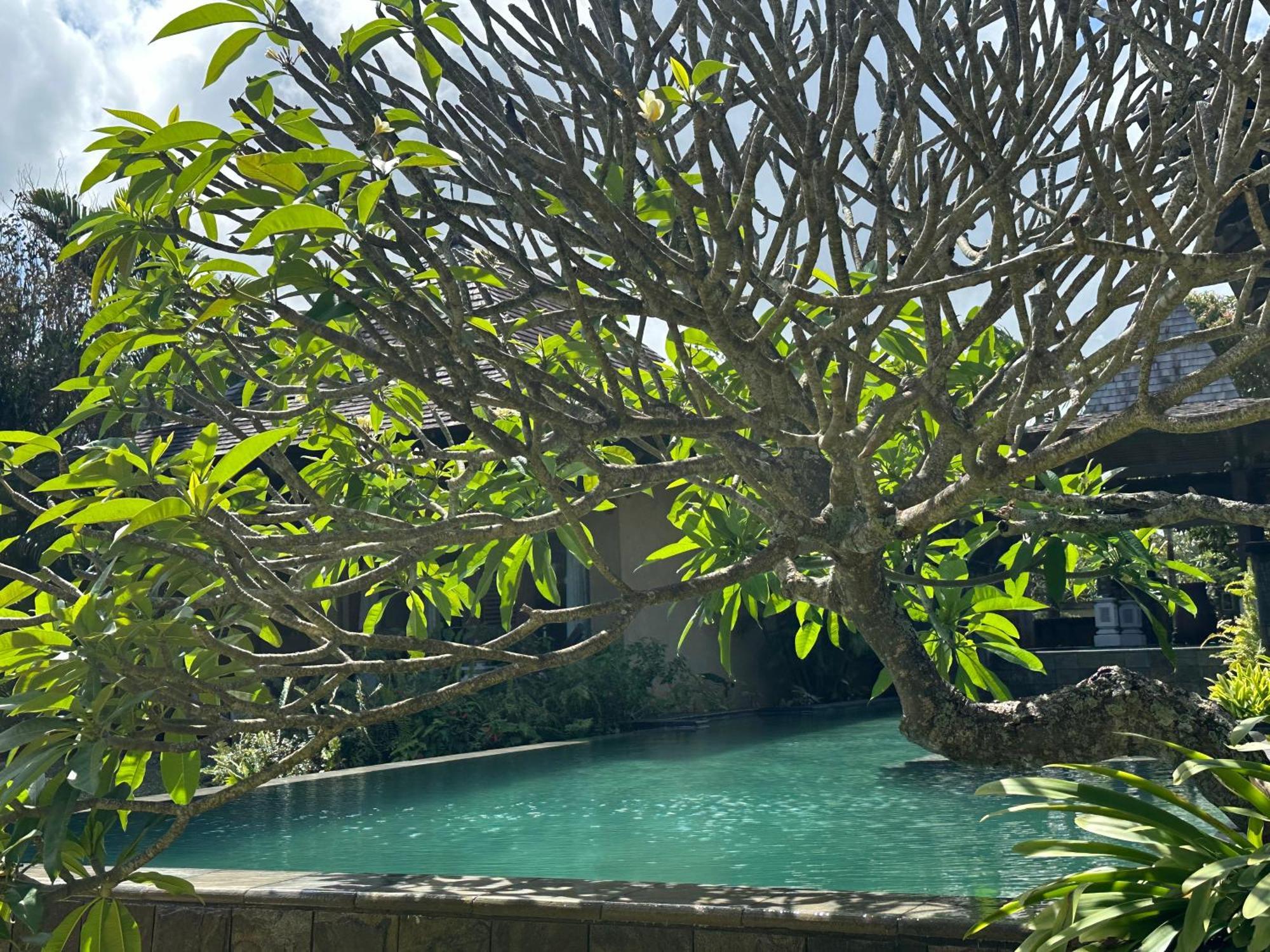 Villa Serenite Bel Ombre Εξωτερικό φωτογραφία